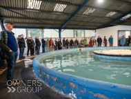 WG031025-36 - Warren Greatrex Stable Visit